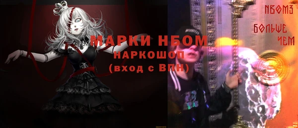 трава Ельня