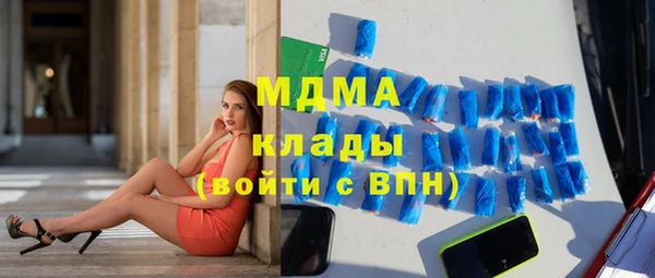 трава Ельня