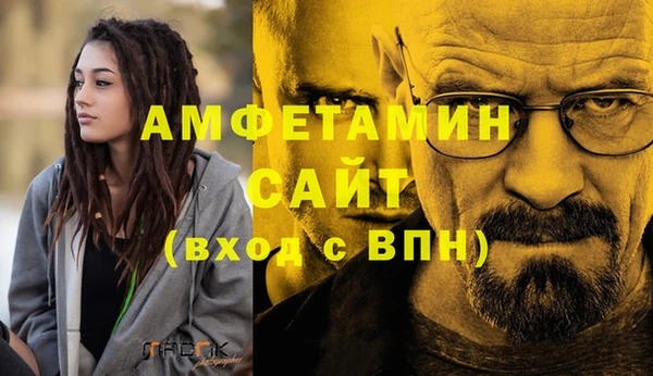 трава Ельня