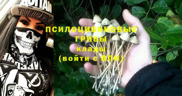 хмурый Воткинск