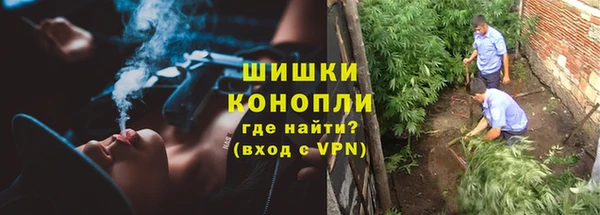 прущая мука Елабуга