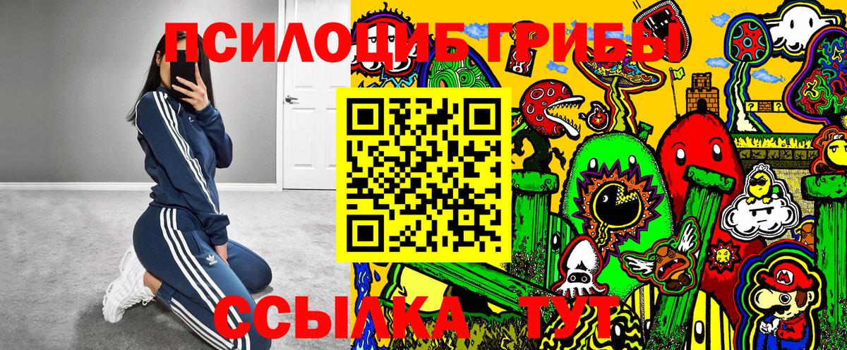 Галлюциногенные грибы GOLDEN TEACHER  Вход с VPN  Ефремов 