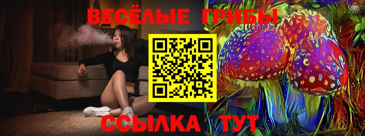 Галлюциногенные грибы Psilocybine cubensis Ефремов